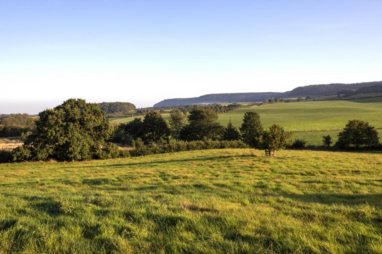 סקארבורו Thirley Cotes Farm Cottages מראה חיצוני תמונה