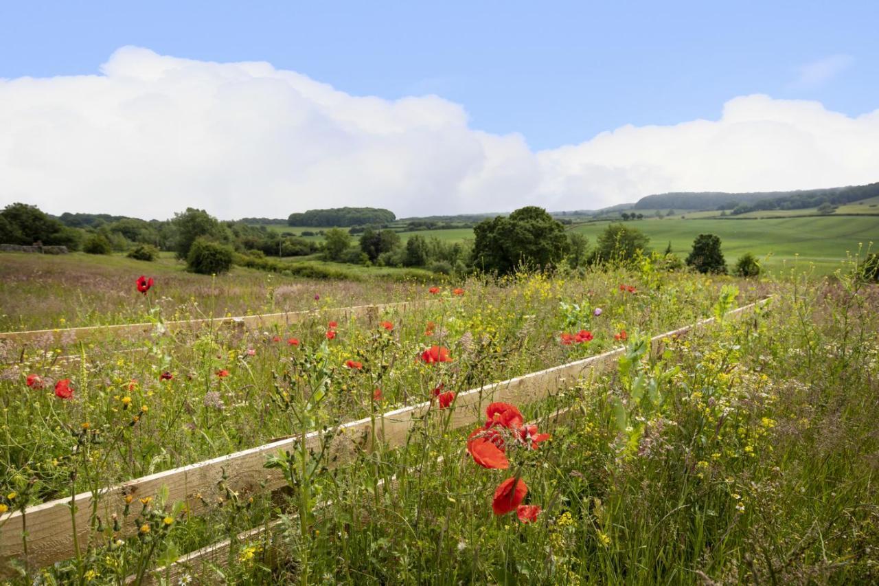 סקארבורו Thirley Cotes Farm Cottages מראה חיצוני תמונה